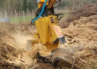 Kastor hyd Seppi in action