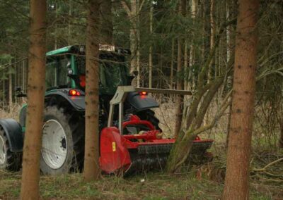 Seppi MIDIFORST between trees