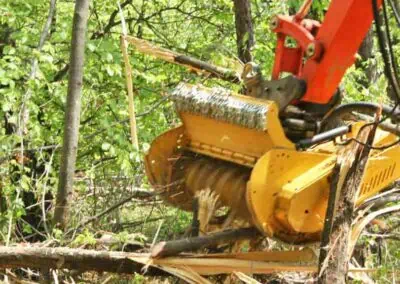 Seppi MINI-BMS in action