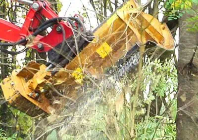 Seppi MINI-BMS up close working