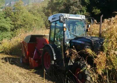 Seppi SMO drago clearing grass