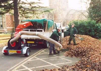 Trilo Su60 being used for leaves