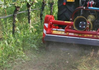 SMWA S between rows at a vineyard