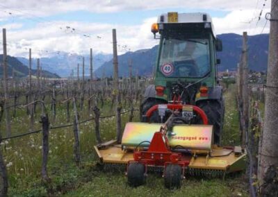 apple variomative working between rows at a vineyard