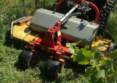 apple variomatic up close cutting grass between grape vines
