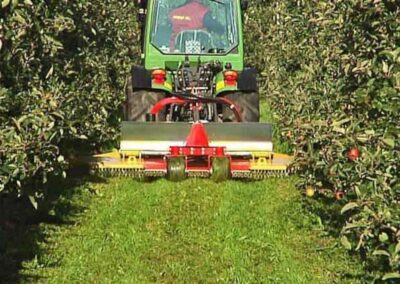 cutting grass with an apple variomatic, at an orchard