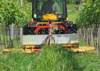 apple variomatic cutting long grass between rows at a winery