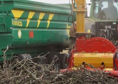 B20 close up mulching