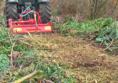 Seppi MINIFORST pickup in action
