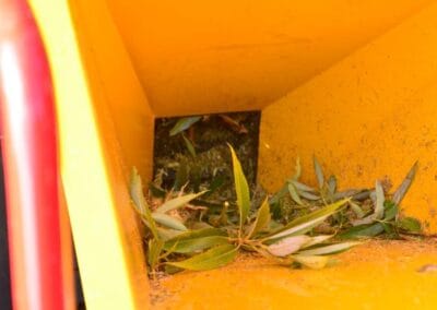 ROBO Chipper chipping leaves, up close, looking down the shoot