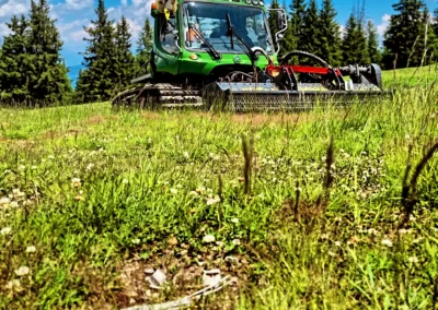 S9 seppi base mulcher flail in use