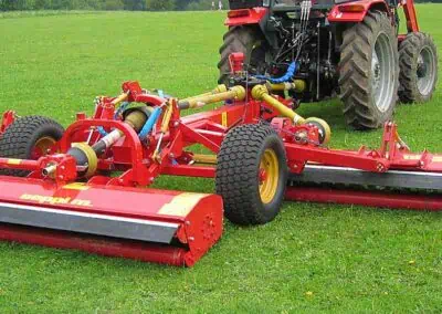 SMWA multipla on grass