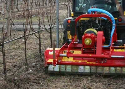 SMWA slim working in a vineyard