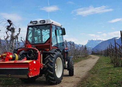 Seppi m. SMWO flail mulcher attachment in action