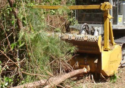 SUPERFORST hyd mulching trees up close