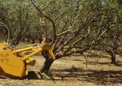 SUPERFORST hyd Seppi mulching a tree