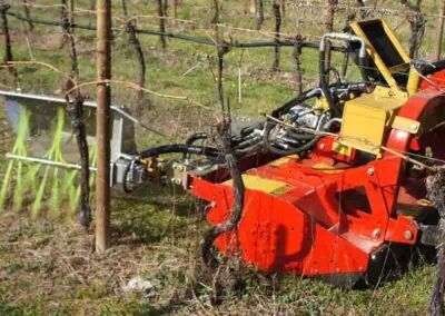 Seppi XSP under canopy between rows at vineyard