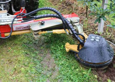 XSA cutting next to grass