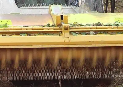 Seppi MINIFORST CL yellow up close of teeth