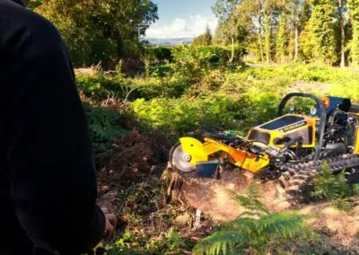 Robo Stump Grinder in action in heavy scrub