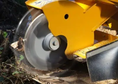 Robo Stump Grinder saw up close