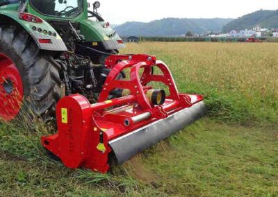 S9 Dyna cutting grass Seppi M.