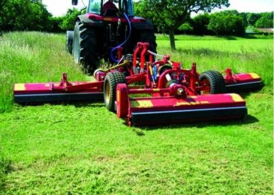 SWMA multipla on long grass