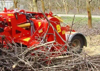 WBS working on a huge pile of sticks