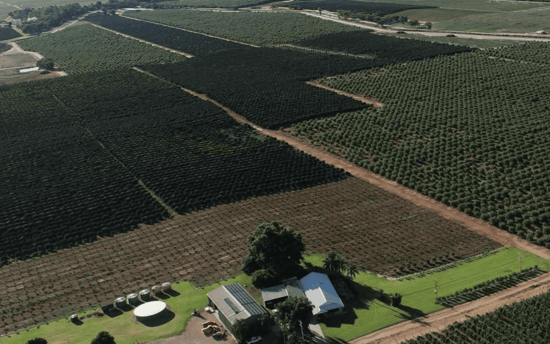 Minter Magic: Growing a Global Farming Legacy with Seppi Mulchers