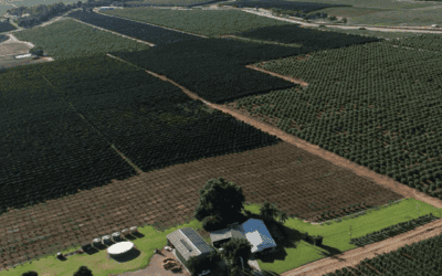 Minter Magic: Growing a Global Farming Legacy with Seppi Mulchers